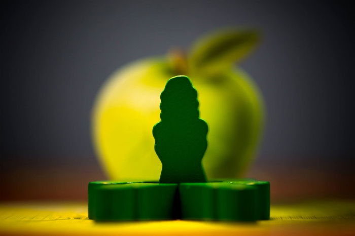 Newton  - Joc de Societate [8]