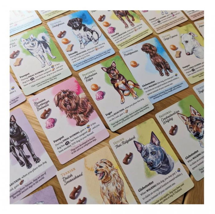 Packet Dog Park (RO-EN) - Colectia completa [8]