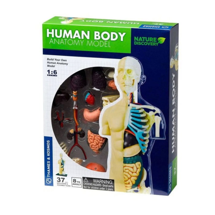 Resigilat - Set educativ STEM - Anatomia corpului uman [1]
