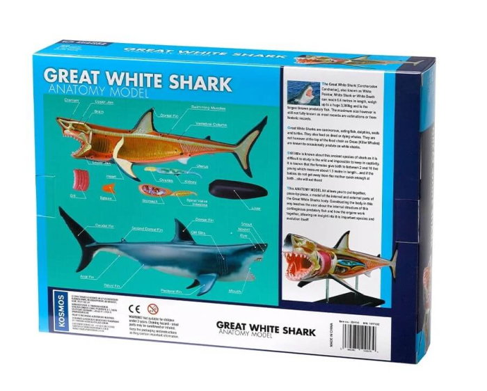 Set educativ Anatomia animalelor: Rechinul Alb [2]