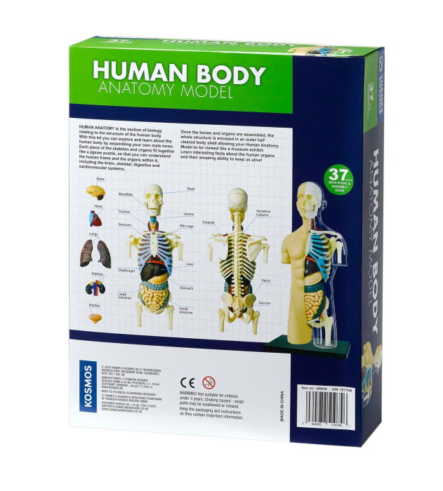 Set educativ STEM - Anatomia corpului uman [2]
