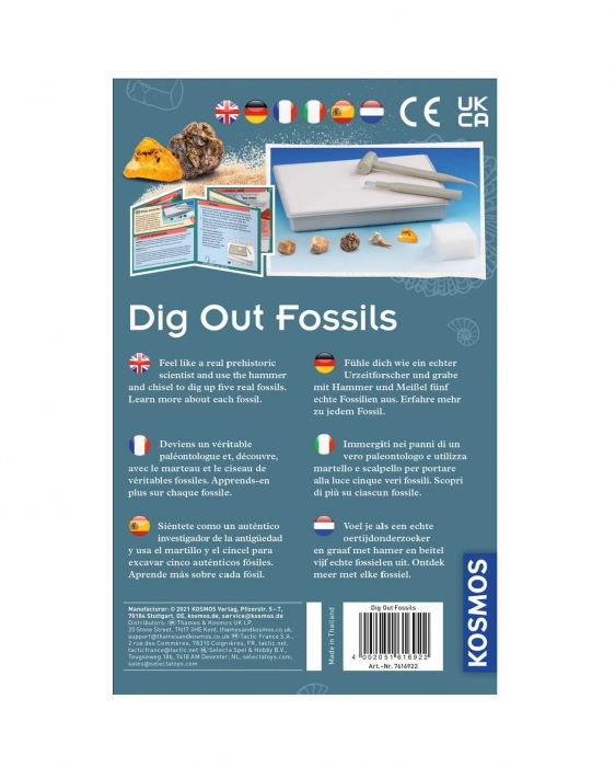 Set educativ STEM - Fosile antice [3]