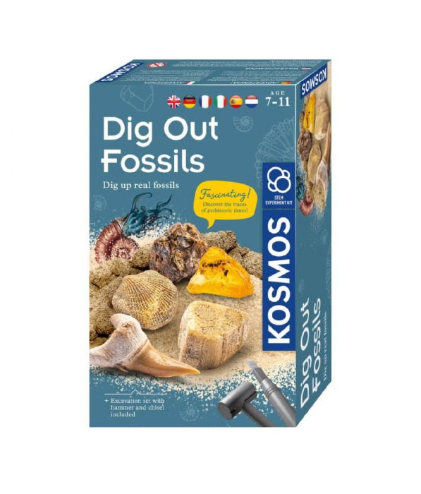 Set educativ STEM - Fosile antice [1]