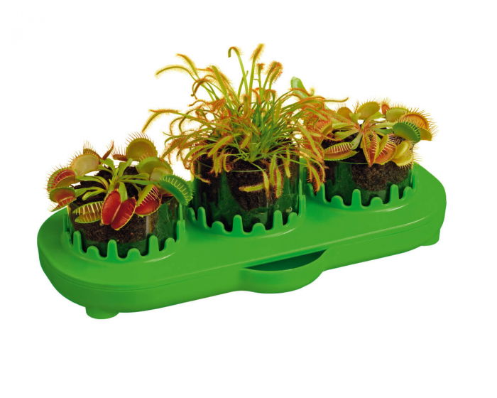 Set educativ STEM - Plante carnivore [2]