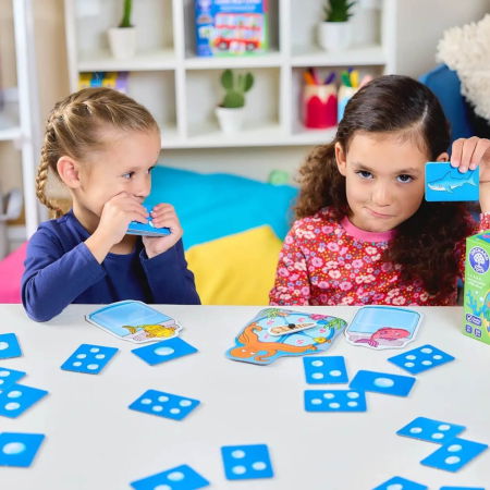 Catch and Count (RO-EN) [3]