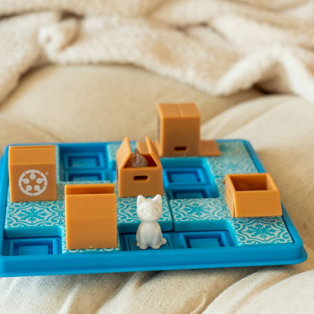 Cats and Boxes (RO) [4]