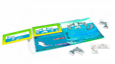 Flippin’ Dolphins [1]