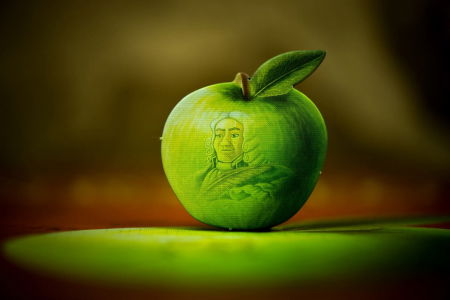 Newton  - Joc de Societate [8]