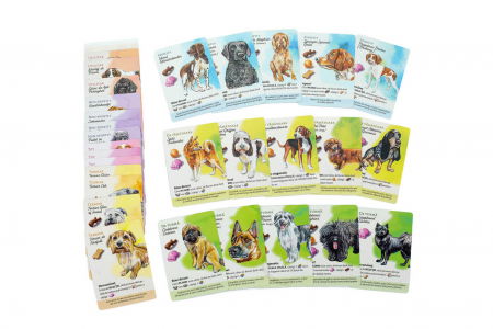 Packet Dog Park (RO-EN) - Colectia completa [3]