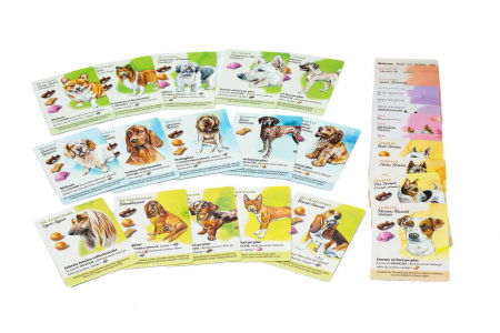 Packet Dog Park (RO-EN) - Colectia completa [5]