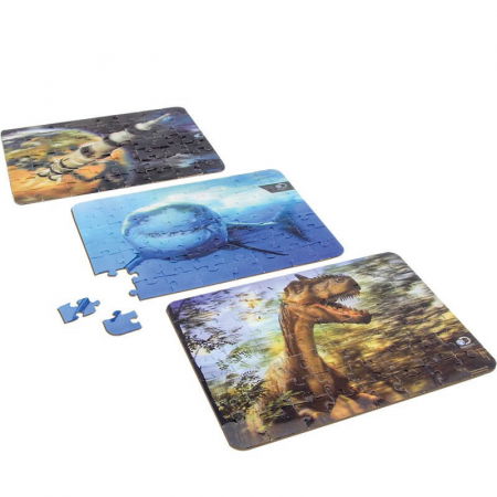 Obiecte de colectie - Puzzle Lenticular 3D Discovery