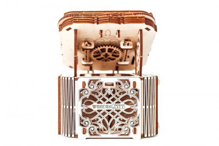 Puzzle mecanic 3D - Cutie misterioasa [1]