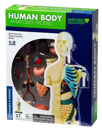 Resigilat - Set educativ STEM - Anatomia corpului uman [2]