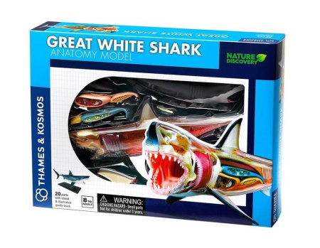 Jucarii si jocuri educative STEM - Set educativ Anatomia animalelor: Rechinul Alb