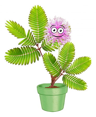 Set educativ STEM - Gradina cu mimoze [3]