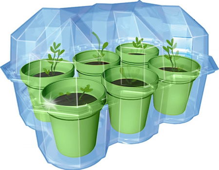 Set educativ STEM - Gradina cu mimoze [2]