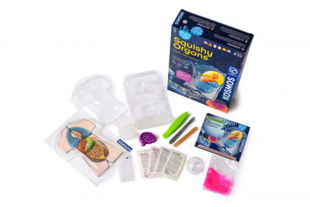 Set educativ STEM - Organe Squichy [1]