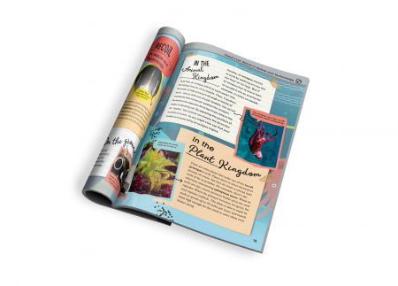 Set educativ STEM - Vehicule propulsate cu apa [9]