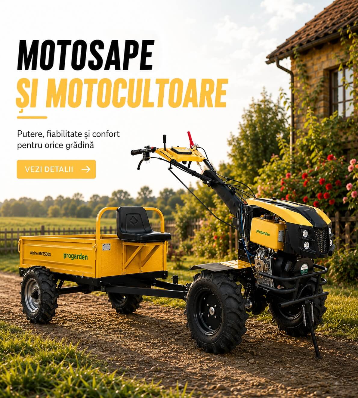 Categorie motosape