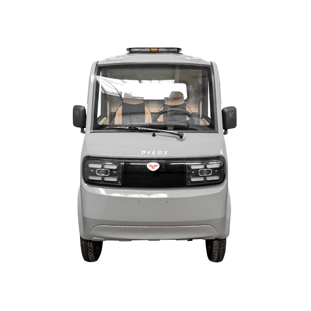 Camioneta electrica RURIS PILOT 5000S G cu doua locuri, autonomie 130 km si greutate suportata 898 kg [2]