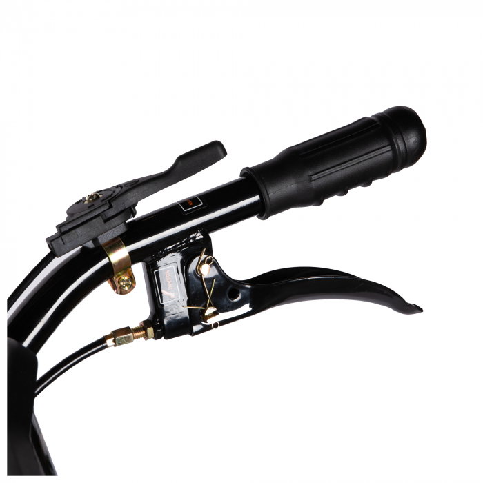 Motocultor Detoolz DZ-M124 7CP, 212CC+plug+adaptor+roti metalice [11]