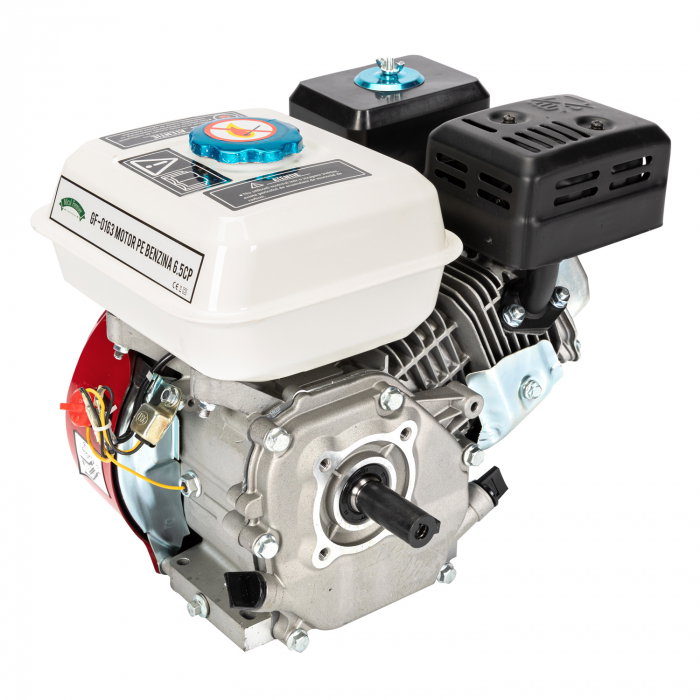 Motor pe benzina 6.5 CP cu ax orizontal Micul Fermier GF-0163 [3]