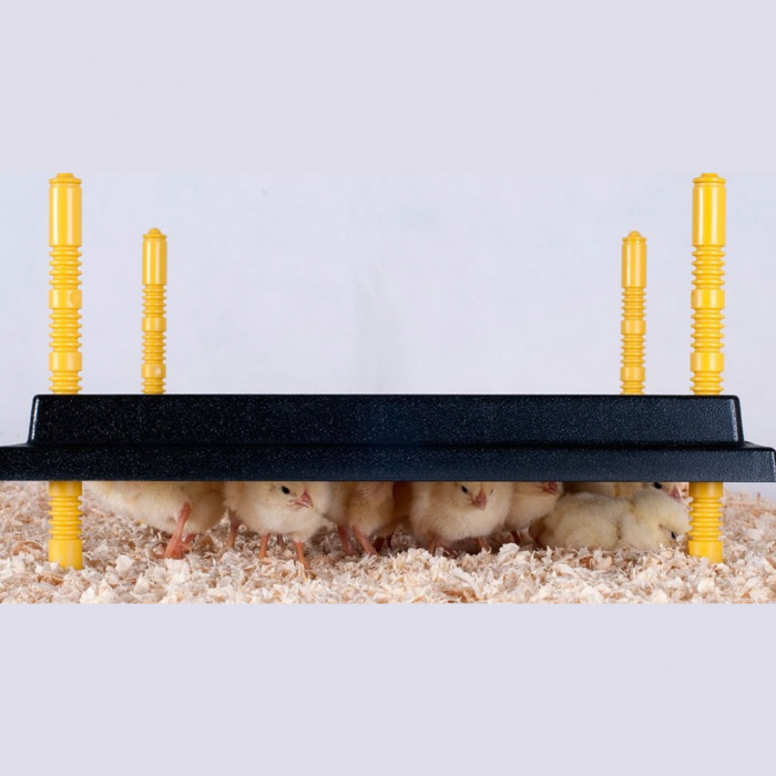 Panou incalzire pui Micul Fermier GF-2200 35W 30x40cm - Closca Electrica [6]