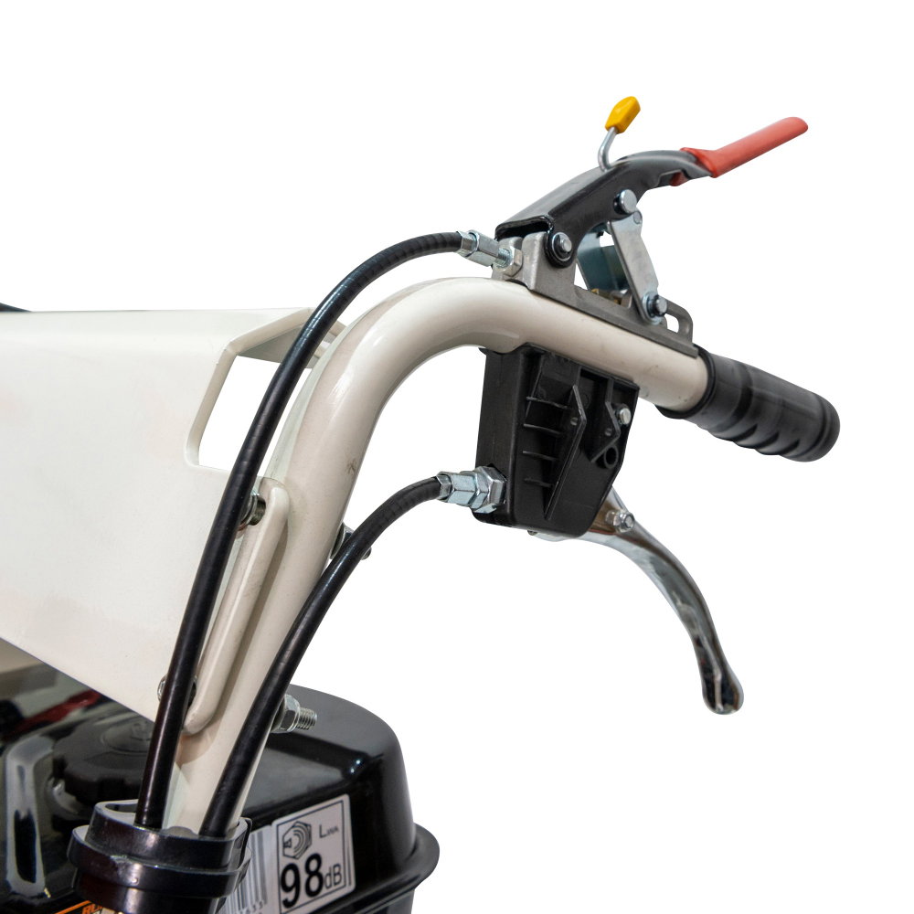 Roaba Autopropulsata RURIS RTS 7000 Hidraulic 9 CP, 500kg, senile, basculare hidraulica [13]