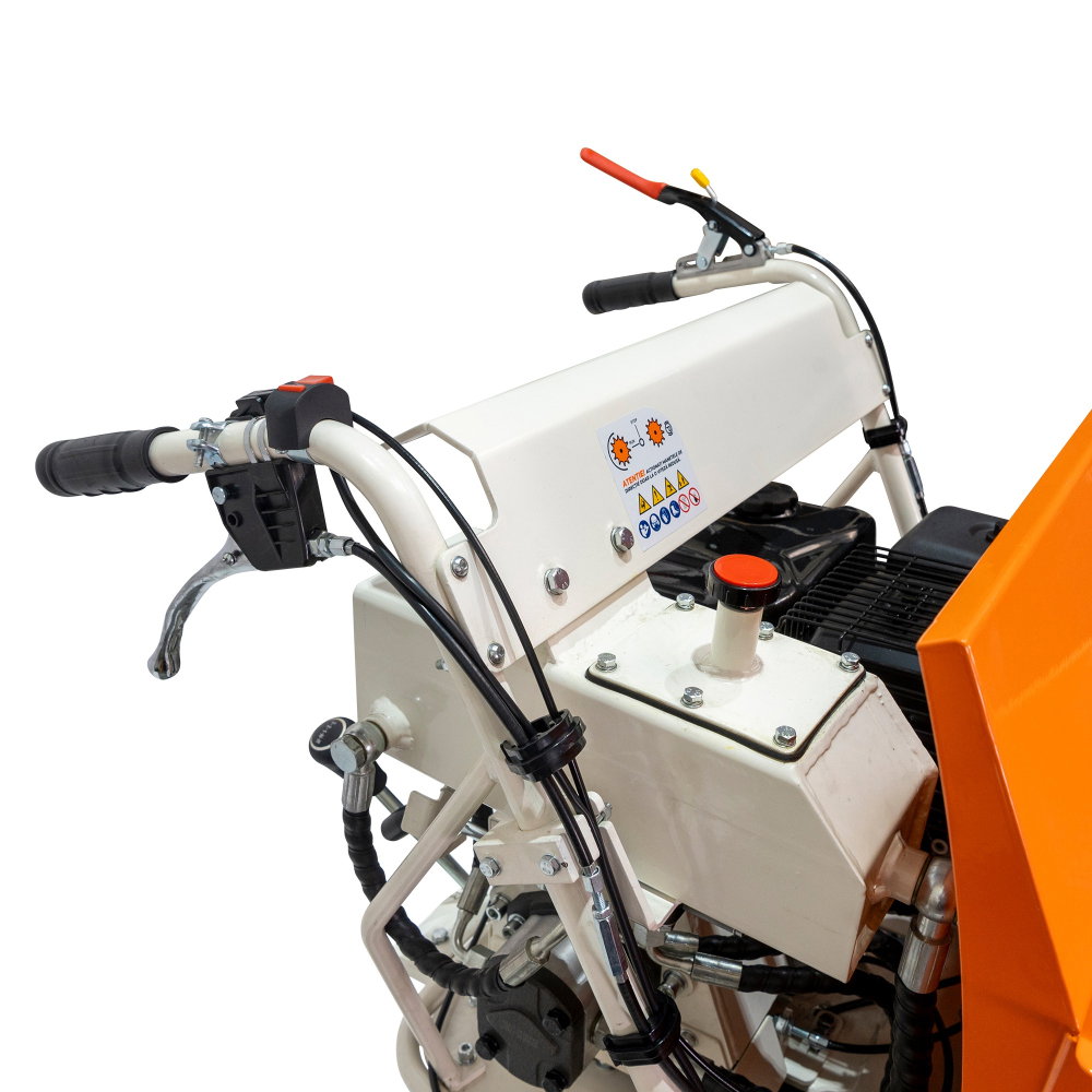 Roaba Autopropulsata RURIS RTS 7000 Hidraulic 9 CP, 500kg, senile, basculare hidraulica [15]