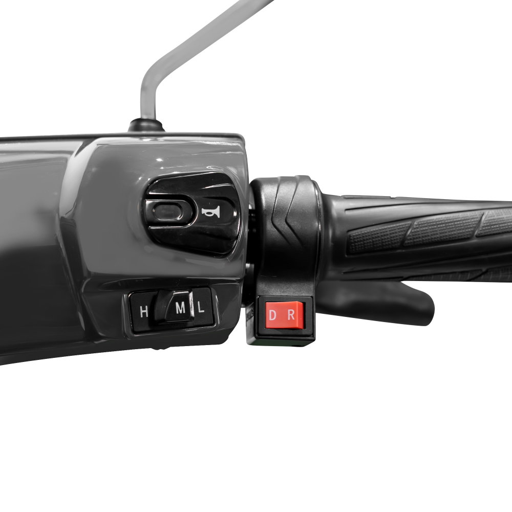 Scuter electric gri cu 4 roti RURIS PILOT SX100G, 1300W, autonomie 46 km [10]