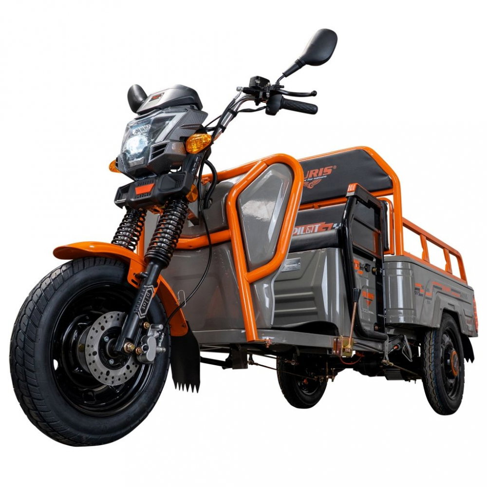 Triciclu electric cargo RURIS Pilot 3110G GRI fara permis, 2000W, viteza 25 km/h, autonomie 80 km [4]