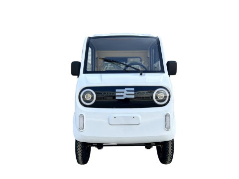 Pickup electric cargo Blade CARGO PRO 12, 3000W, 800 kg, alb-negru [3]
