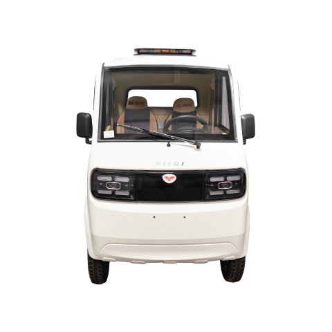 Camioneta electrica RURIS PILOT 5000S A cu doua locuri, autonomie 130 km si greutate suportata 898 kg [1]