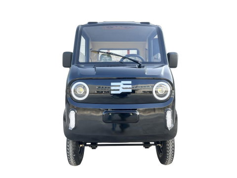 Pickup electric cargo Blade CARGO PRO 12, 3000W, 800 kg, negru-portocaliu [2]