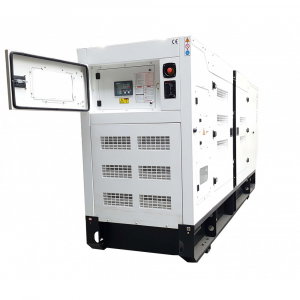 Generator diesel Tide Power TC250C-T cu automatizare, 275 kVA [1]