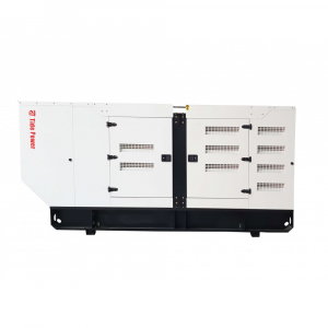 Generator diesel Tide Power TC250C-T cu automatizare, 275 kVA [3]