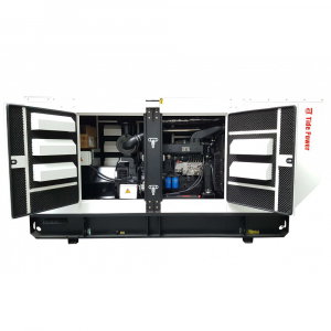 Generator diesel Tide Power TC250C-T cu automatizare, 275 kVA [2]