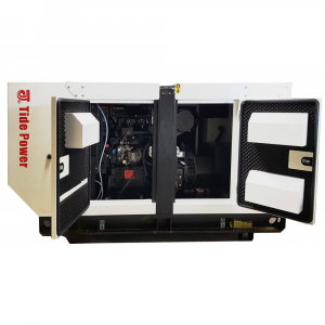Generator diesel Tide Power TC40C-T cu automatizare [3]