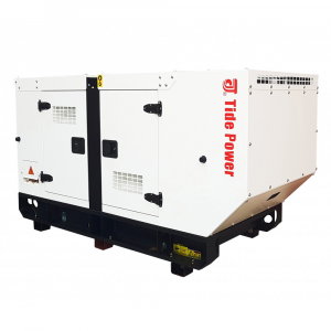 Generator Tide TC20C-T, diesel, cu automatizare, 22 kva [1]