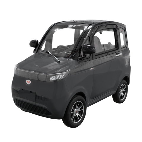 Vehicule de Lucru si Transport - Masina electrica gri RURIS PILOT GT700G, 2 locuri, autonomie pana la 67 km