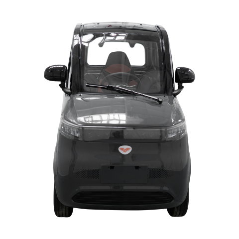 Masina electrica gri RURIS PILOT GT700G, 2 locuri, autonomie pana la 67 km [1]