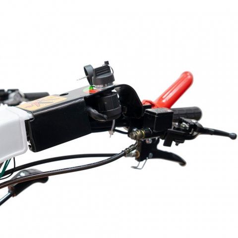 Motocultivator RURIS 1077S 16CP, benzina, pornire electrica, 3+2 viteze, diferential + freza de sapat SX77 80 cm [9]
