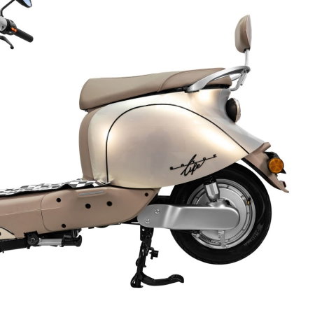 Scuter electric retro RURIS PILOT SX790 GOLD, 800W, autonomie pana la 70 km, 2 locuri [7]