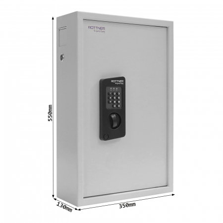 Seif pentru Chei Rottner Keytronic 100 Închidere Electronică Gri [3]