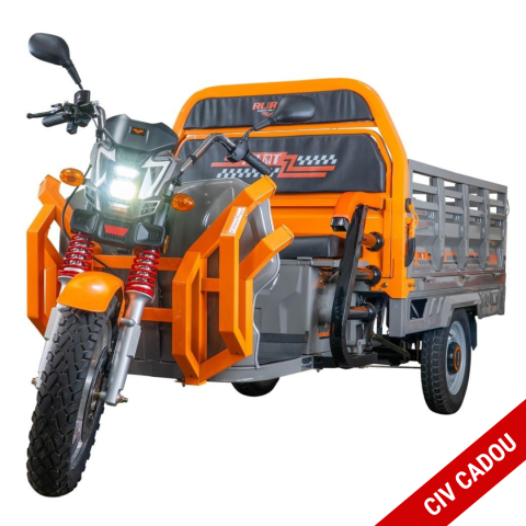 Tricicluri electrice - Tricicleta electrica cargo RURIS Pilot 3130G GRI 3600W