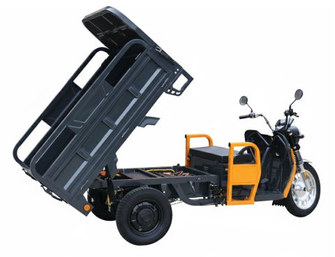 Triciclu Electric Cargo Progarden TRIVO 3000, autonomie 80km, CIV inclus, 72V, 58Ah [3]