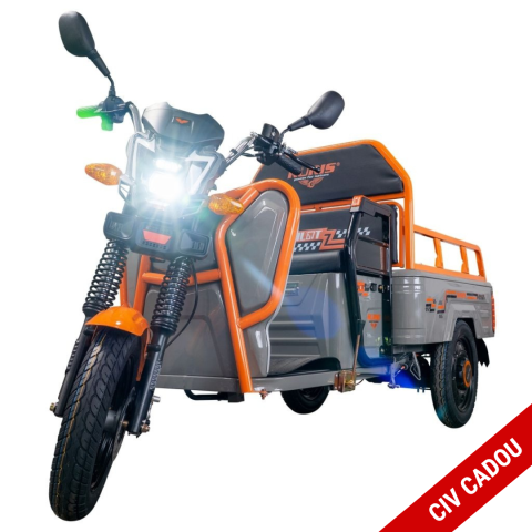 Tricicluri electrice - Triciclu electric cargo RURIS Pilot 3110G GRI fara permis, 2000W, viteza 25 km/h, autonomie 80 km