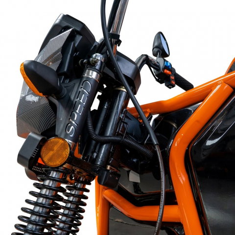 Triciclu electric cargo RURIS Pilot 3110N NEGRU, 2000W, viteza 25 km/h, autonomie 80 km [11]