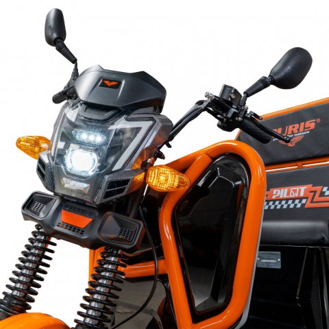 Triciclu electric cargo RURIS Pilot 3110N NEGRU, 2000W, viteza 25 km/h, autonomie 80 km [10]