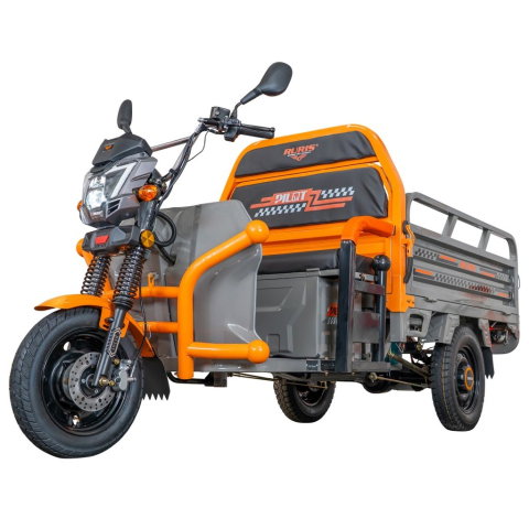 Triciclu electric cargo RURIS Pilot 3120G GRI 2000W, autonomie pana la 70 km, bena basculabila, reductor forta, CIV inclus [5]